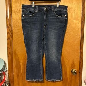 Women’s Judy Blue Skinny Fit Capri Jeans, Size 18